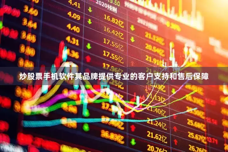 炒股票手机软件其品牌提供专业的客户支持和售后保障