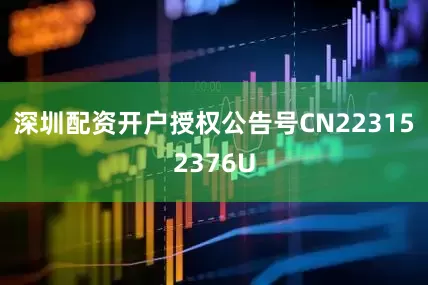 深圳配资开户授权公告号CN223152376U