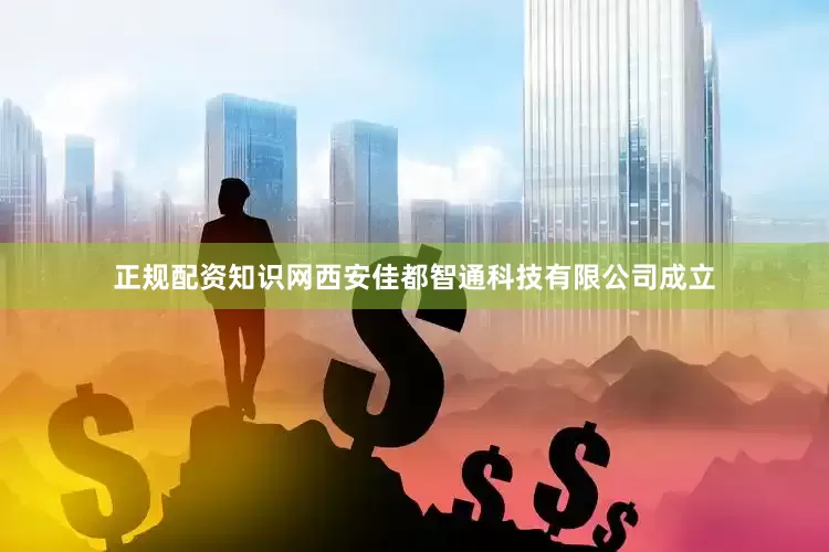 正规配资知识网西安佳都智通科技有限公司成立